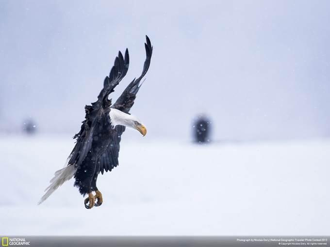 &#91;pict&#93; Foto - Foto Mengagumkan Dari Pertandingan Fotografi National Geographic 2013