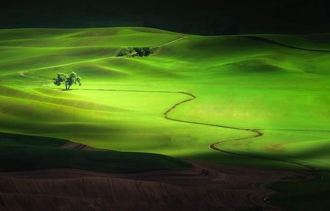 &#91;pict&#93; Foto - Foto Mengagumkan Dari Pertandingan Fotografi National Geographic 2013