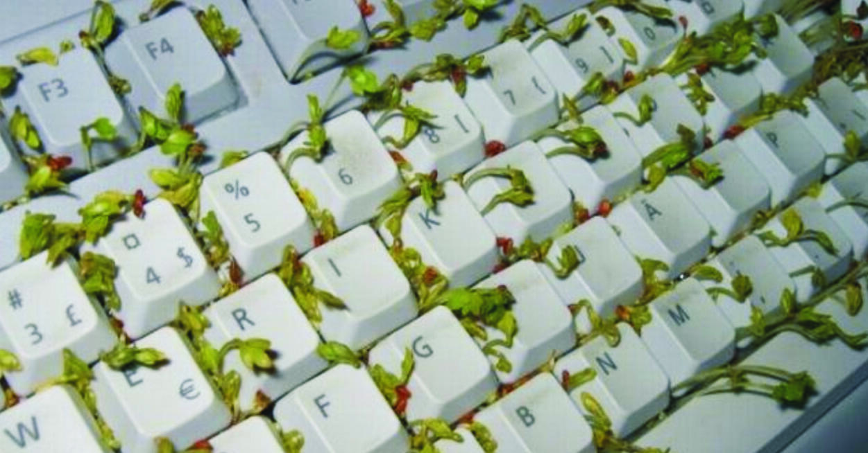 4 Langkah Bercocok Tanam dengan Keyboard Komputer Bekas