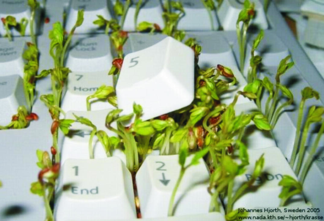 4 Langkah Bercocok Tanam dengan Keyboard Komputer Bekas