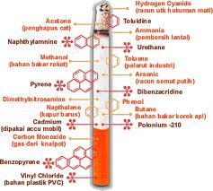 dibaca dulu gan.... buat paru-paru ente nih...