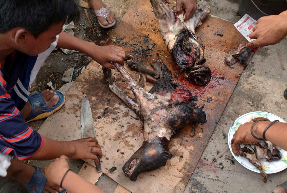 Bahayanya makan daging Anjing
