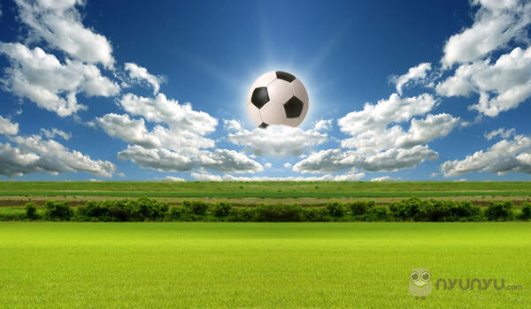 Suka Cita Kembalinya Musim Bola (football lovers masuppppp gan!!!!)