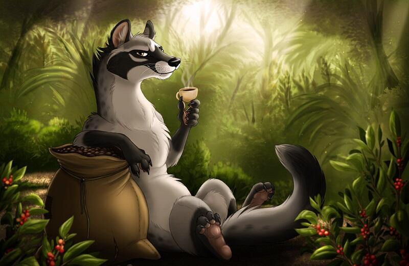 Ilmuwan Jepang Temukan Cara Bedakan Kopi Luwak dan Kopi Biasa