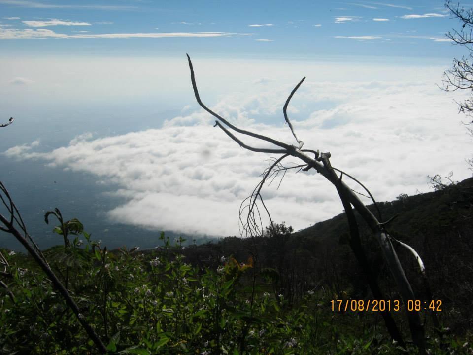 Puncak slamet 17 Agustus 2013