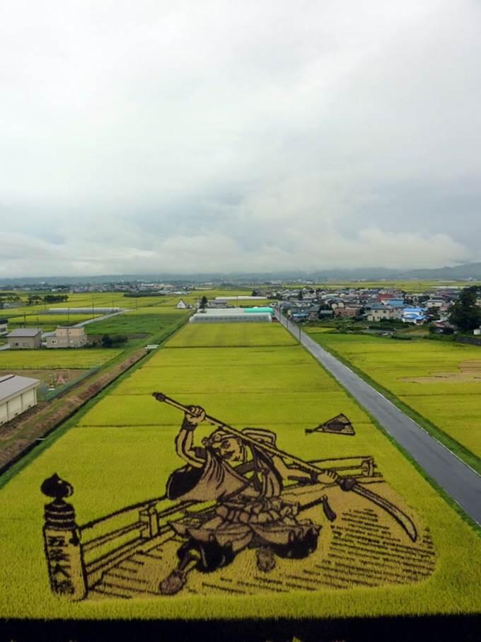 Seni Raksasa Yang Dihasilkan Di Atas Sawah Padi