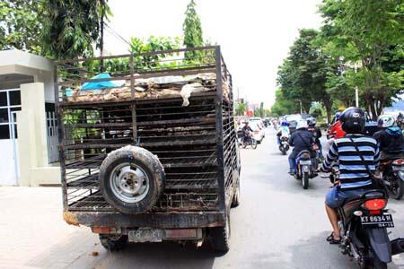 Berikut adalah kendaraan2 yg tidak kita ingin jumpai dijalan , saat kita mengendarai 