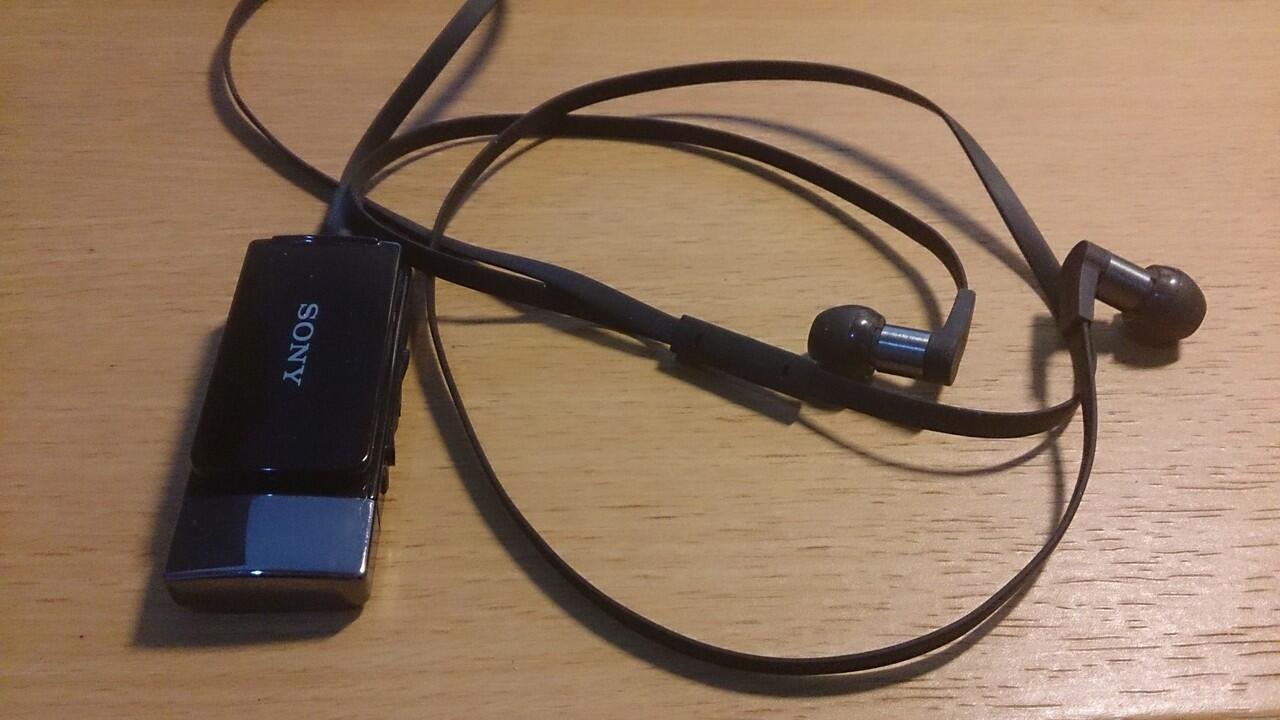 Jual Sony Bluetooth Headset Stereo MW1 Black