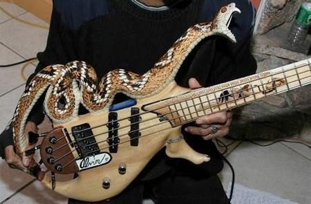 Koleksi Gitar - Gitar Keren dan Luar Biasa