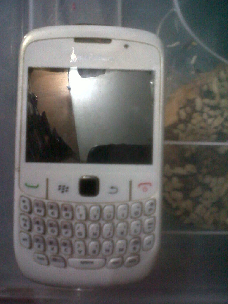 blackberry 8520 bb gemini white