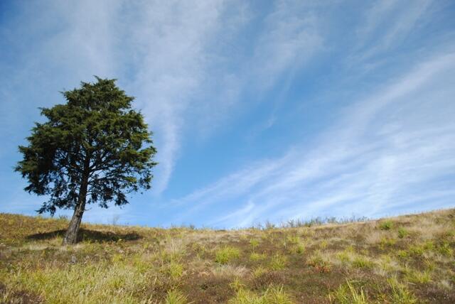 Seperti Inikah Indahnya Sunrise? Gunung Prau 16-18 Agustus 2013