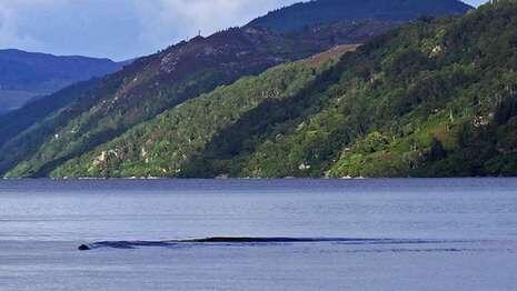 Inikah Bukti Monster Danau Loch Ness Sungguh Ada?