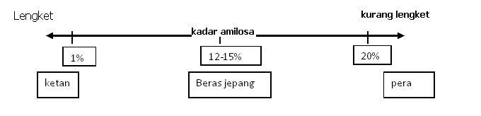 Perbedaan Nasi Jepang dan Nasi Kita