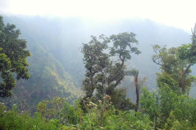 &#91;Catper&#93; Fun Hiking Gunung Argopuro 20 - 27 Agustus 2013