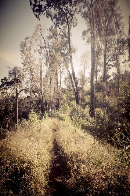 &#91;Catper&#93; Fun Hiking Gunung Argopuro 20 - 27 Agustus 2013