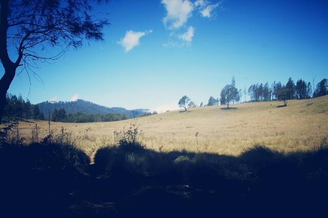 &#91;Catper&#93; Fun Hiking Gunung Argopuro 20 - 27 Agustus 2013