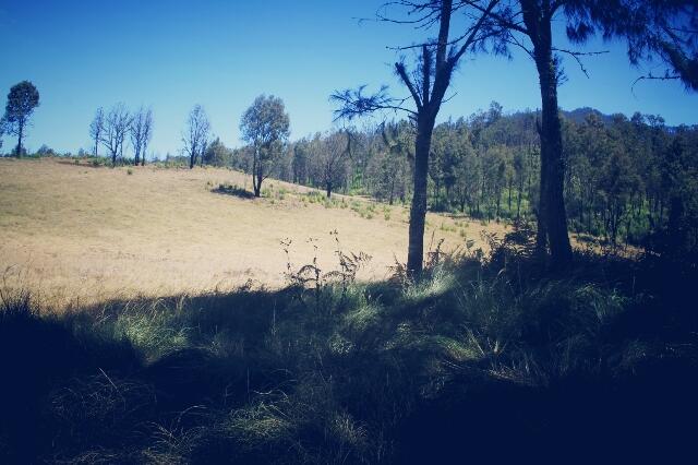 &#91;Catper&#93; Fun Hiking Gunung Argopuro 20 - 27 Agustus 2013