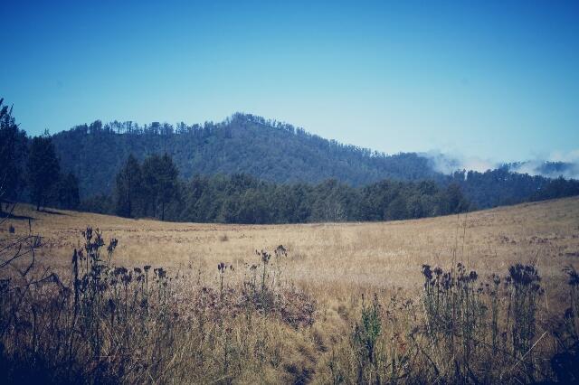 &#91;Catper&#93; Fun Hiking Gunung Argopuro 20 - 27 Agustus 2013