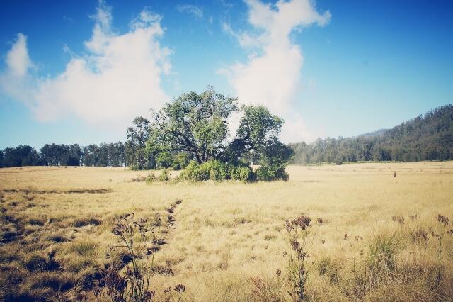 &#91;Catper&#93; Fun Hiking Gunung Argopuro 20 - 27 Agustus 2013