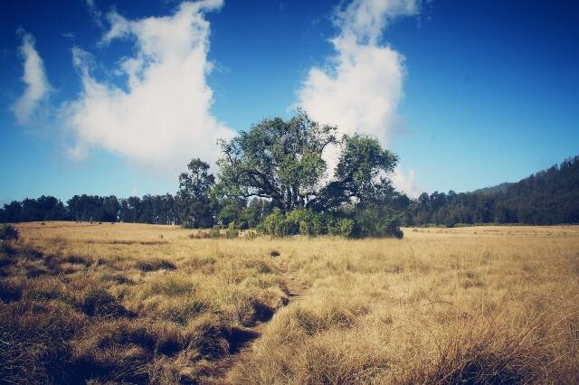 &#91;Catper&#93; Fun Hiking Gunung Argopuro 20 - 27 Agustus 2013