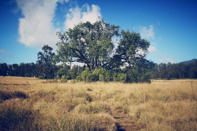 &#91;Catper&#93; Fun Hiking Gunung Argopuro 20 - 27 Agustus 2013