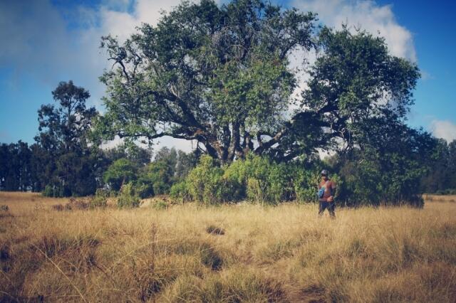 &#91;Catper&#93; Fun Hiking Gunung Argopuro 20 - 27 Agustus 2013