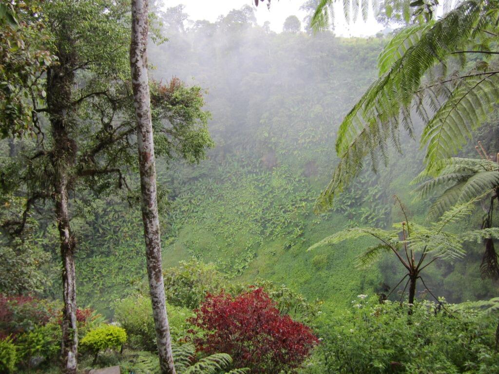 Air Terjun Telun Berasap Kerinci