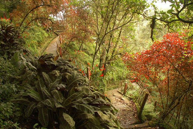 Air Terjun Telun Berasap Kerinci