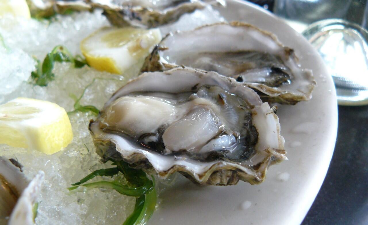 10 Hewan yang dimakan hidup-hidup oleh manusia