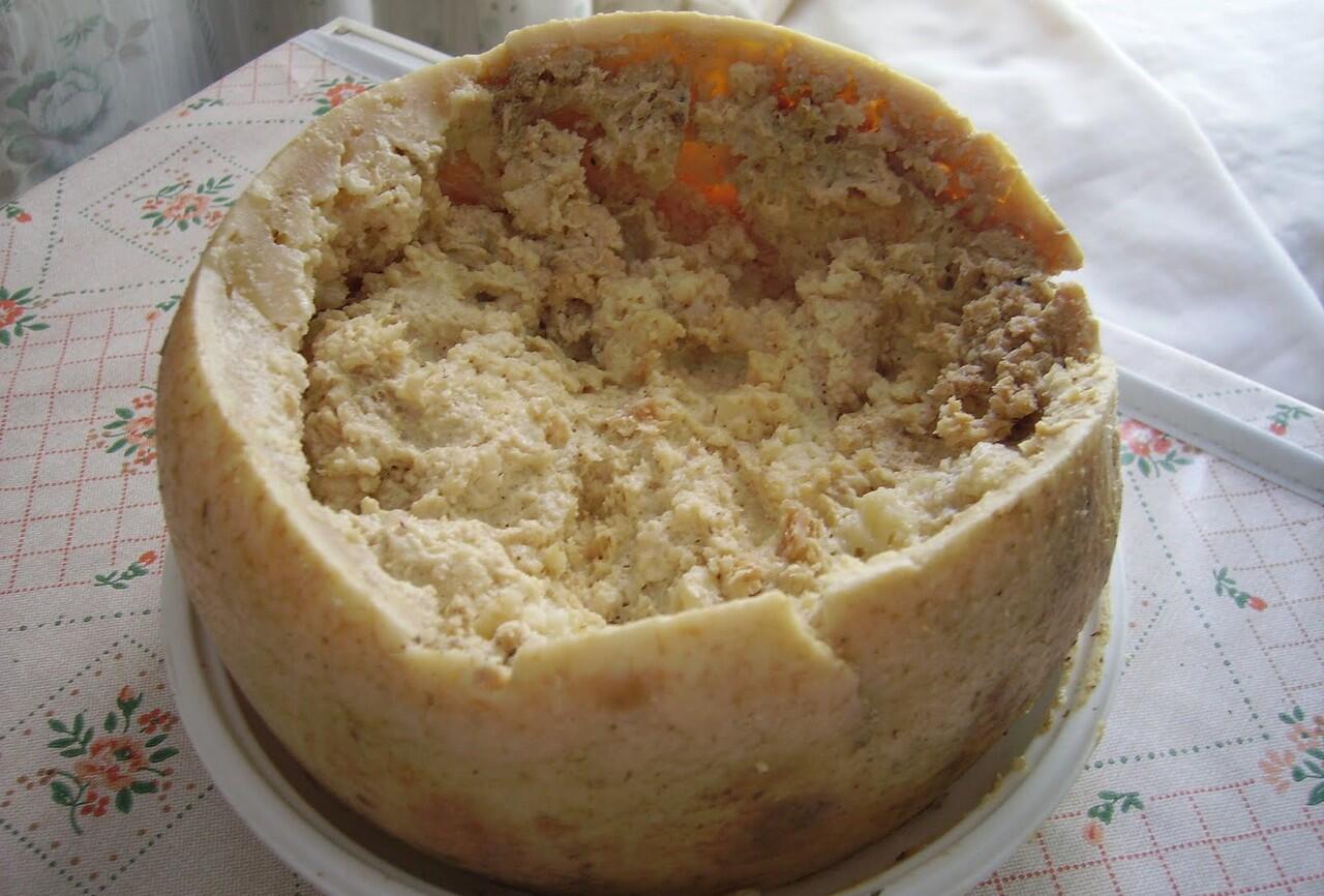 10 Hewan yang dimakan hidup-hidup oleh manusia