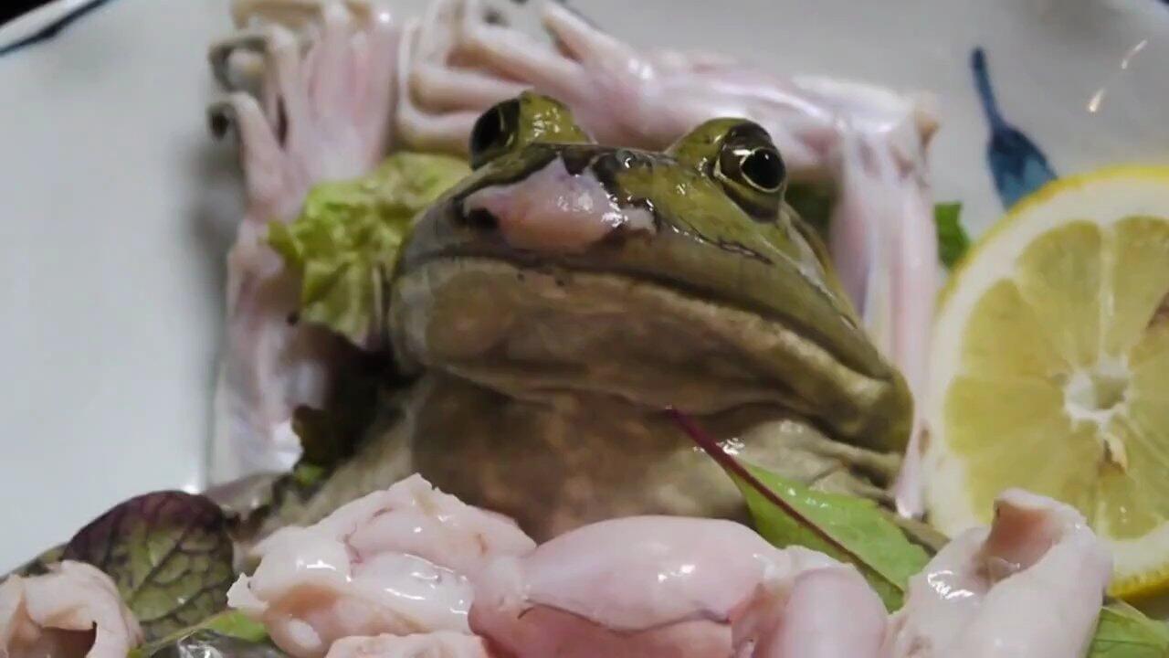 10 Hewan yang dimakan hidup-hidup oleh manusia
