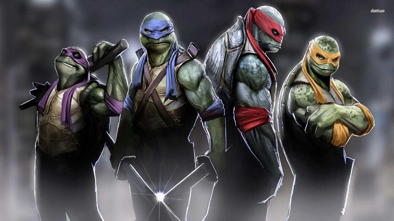 THE NINJA TURTLES...!!!(with pict)