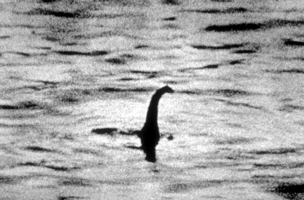 WOW! Monster Loch Ness Tertangkap Kamera gan!