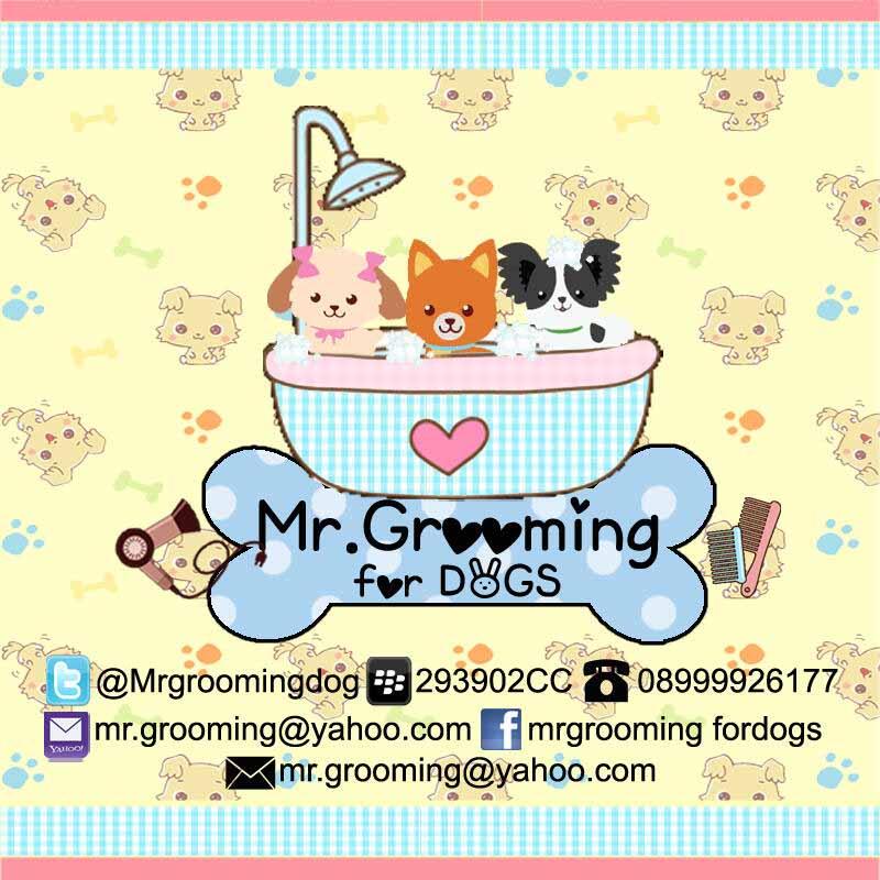 salon hewan panggilan door to door