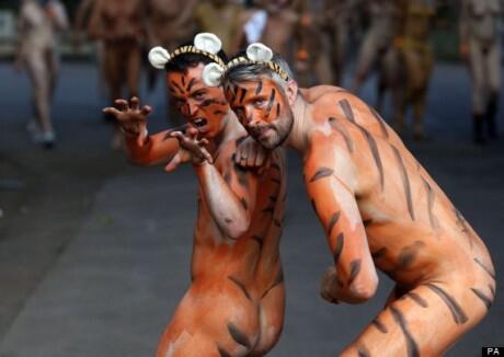 Para Pecinta Binatang Lari Bugil Untuk Harimau Sumatera