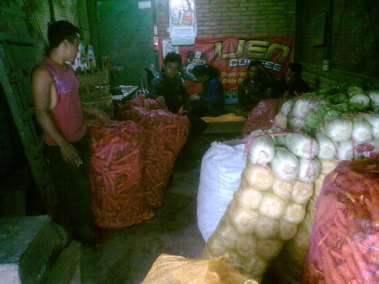 Investasi Menguntungkan di bidang agro ( Sayuran, Buah dan Susu Murni )