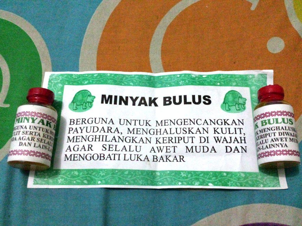 MINYAK KEPALA BELUT PUTIH & MINYAK BULUS ●ASLI DARI KALIMANTAN●