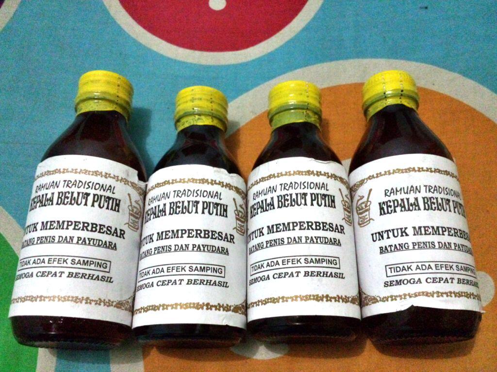 MINYAK KEPALA BELUT PUTIH & MINYAK BULUS ●ASLI DARI KALIMANTAN●