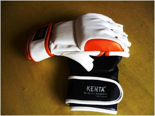 MMA Gloves Kenta