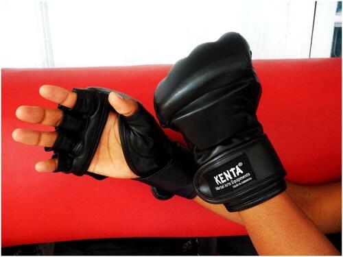 MMA Gloves Kenta