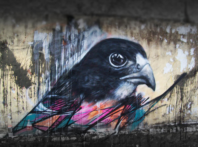 &#91;ART&#93; Graffiti Burung Cewe Masuk ( Cowo jg gpp sih !! )