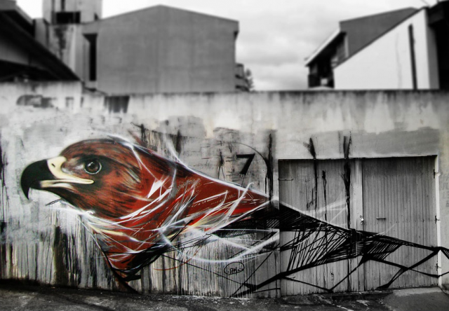 &#91;ART&#93; Graffiti Burung Cewe Masuk ( Cowo jg gpp sih !! )