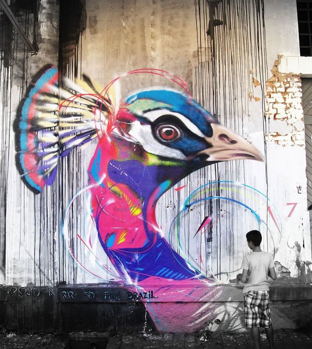 &#91;ART&#93; Graffiti Burung Cewe Masuk ( Cowo jg gpp sih !! )