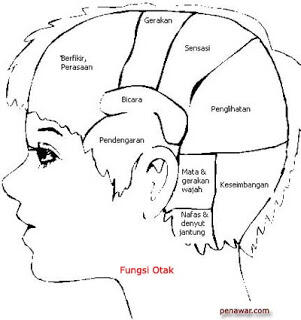 Inilah Pengaruh Zikir Terhadap Otak Manusia