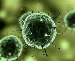 H7N7 Pembunuh baru manusia