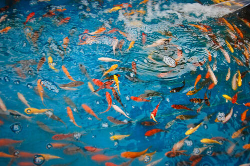 Tempat Wisata Unik di Bandung