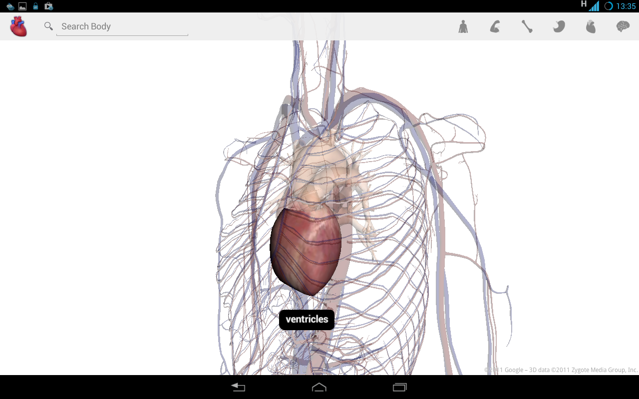Aplikasi Kedokteran Anatomi Anatronica 3D Pro, Visual Anatomi Pro, Google Body