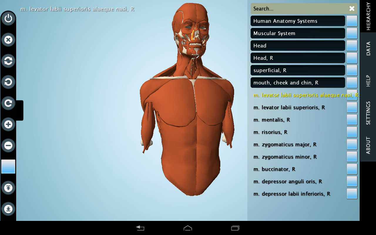 Aplikasi Kedokteran Anatomi Anatronica 3D Pro, Visual Anatomi Pro, Google Body