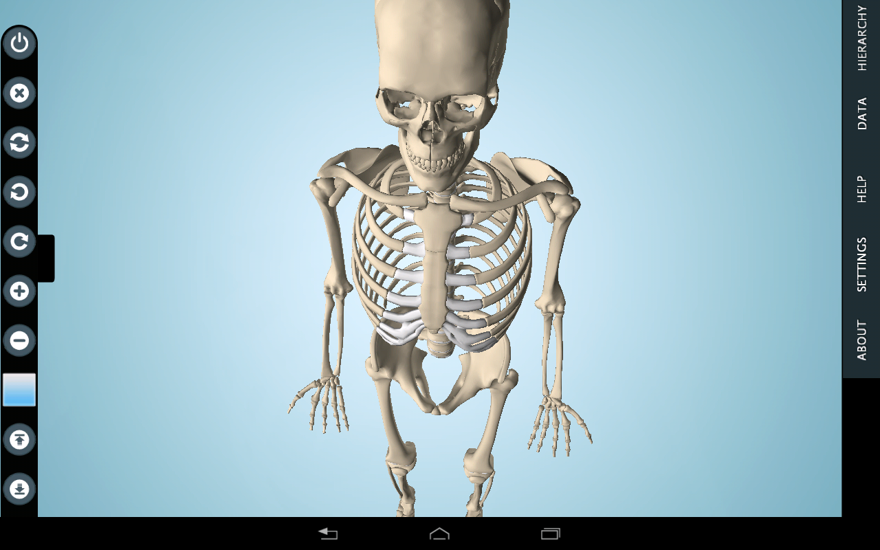 Aplikasi Kedokteran Anatomi Anatronica 3D Pro, Visual Anatomi Pro, Google Body