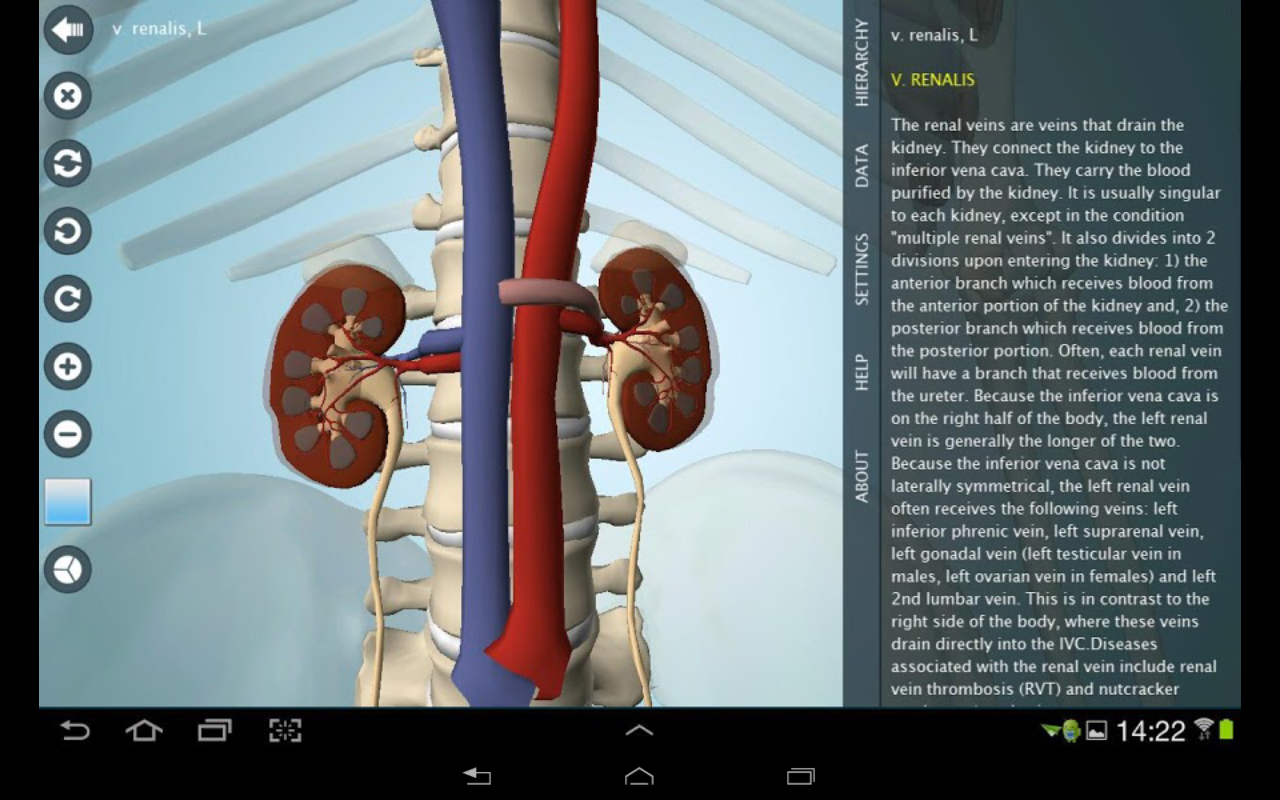 Aplikasi Kedokteran Anatomi Anatronica 3D Pro, Visual Anatomi Pro, Google Body